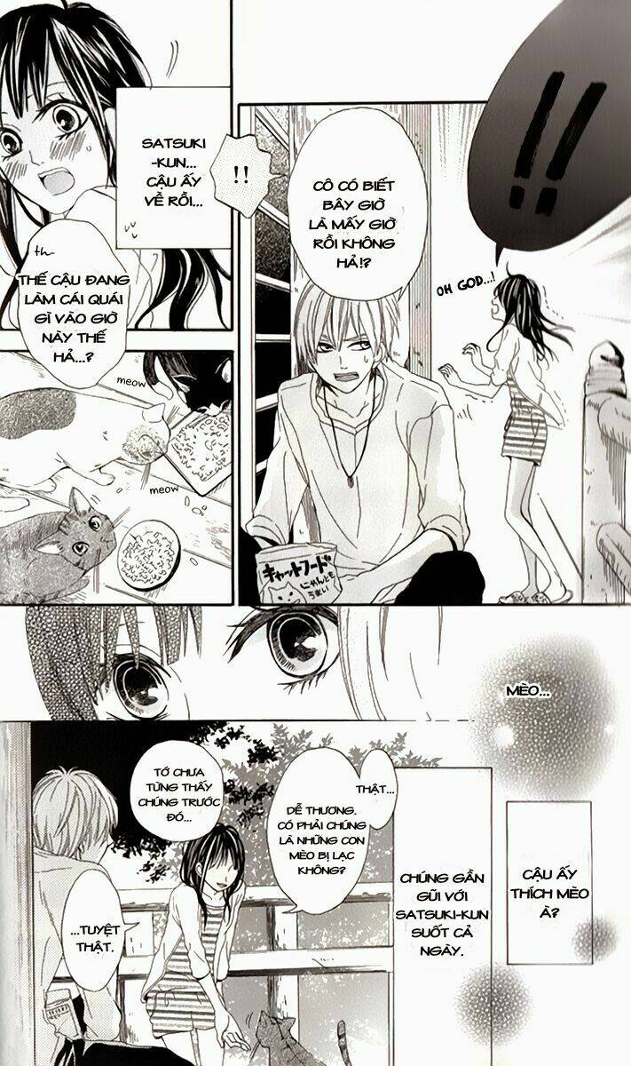 k9-jinja no mori no nora neko-kun chapter 1 19