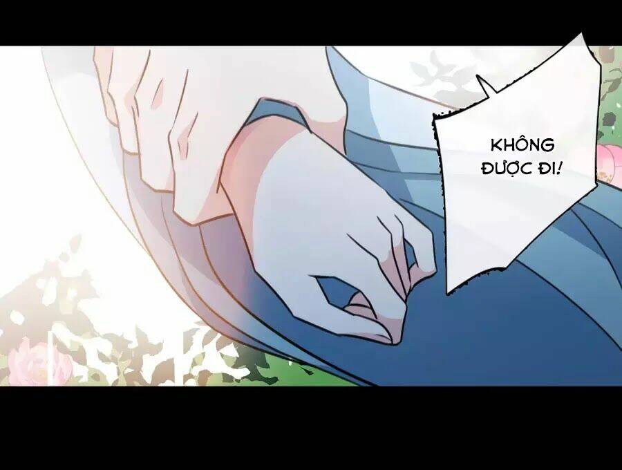 toàn cơ từ chapter 49.1 41