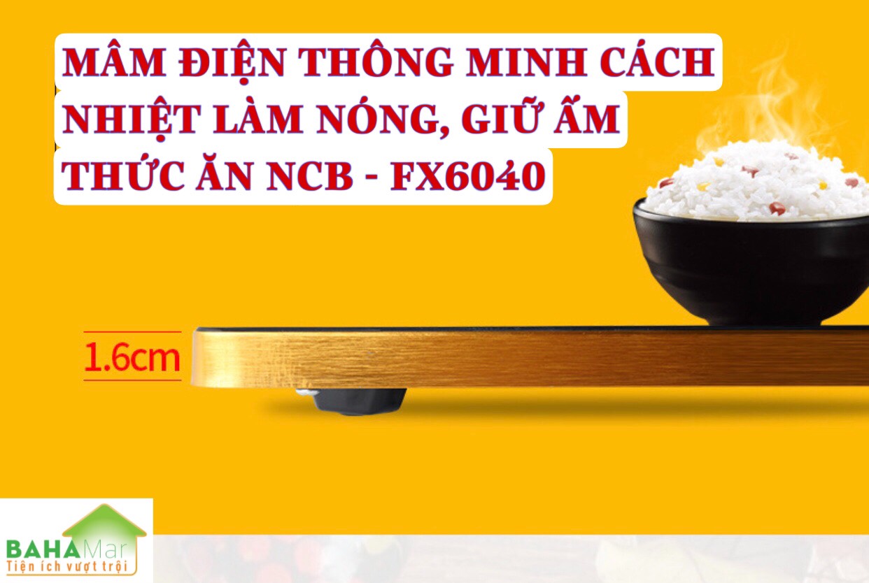MÂM ĐIỆN THÔNG MINH CÁCH NHIỆT LÀM NÓNG GIỮ ẤM THỨC ĂN NCB - FX6040 BAHAMAR Đáp ứng được việc giữ ấm ủ ấm hâm lại thức ăn hoặc rã đông thực phẩm
