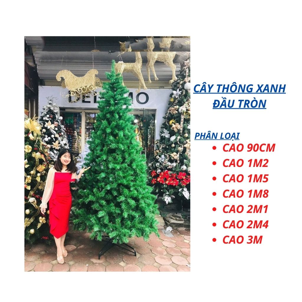 Cây Thông Noel Trang Trí Giáng Sinh Trong Nhà Ngoài Trời Đầu Tròn Nhiều Size Thông 2m, 3m, 1m, Mini