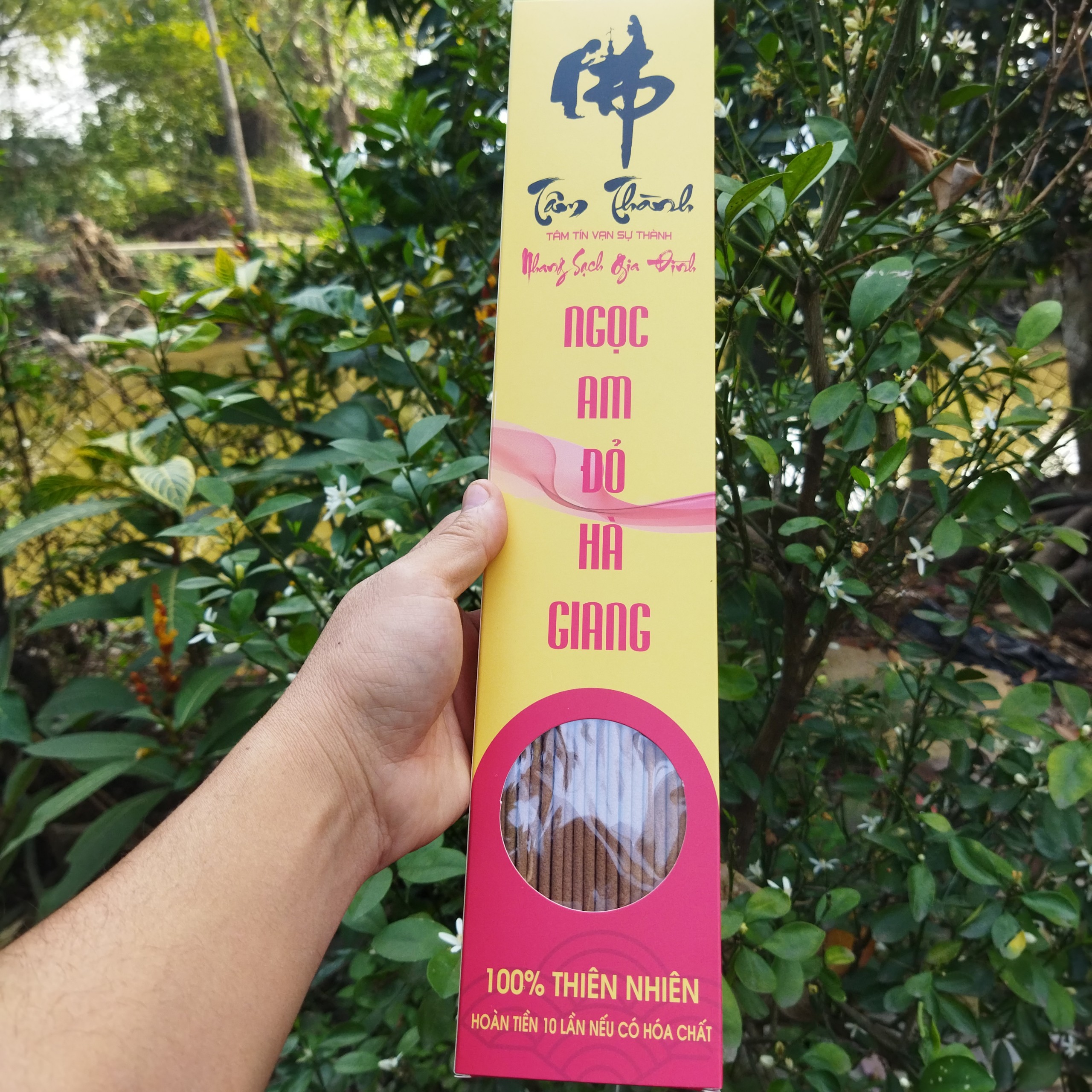 Hương Hoàng_Đàn Tuyết Lạng Sơn_Nhang Hoàng_Đàn_Nhang Bách_Xanh_Nhang Ngọc_Am_Cam Kết 100% Không Hóa Chất.