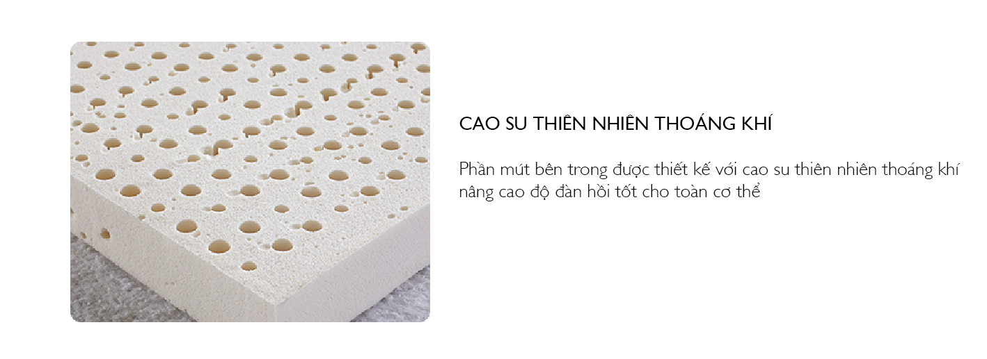 Nệm Bern 1.6m Jang In 1301700001-02