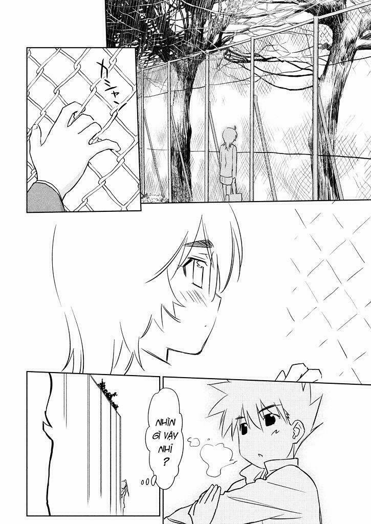 kiss x sis chapter 94 9