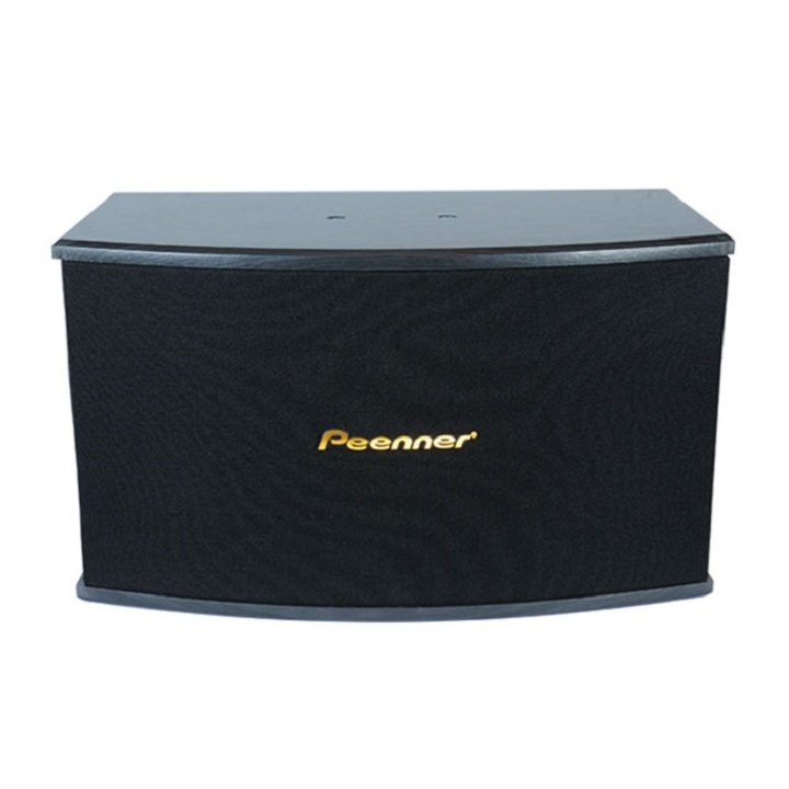 Loa Karaoke Nghe Nhạc Gia Đình Peenner PS-299 Bass 25cm - Loa cao cấp - Hàng chính hãng