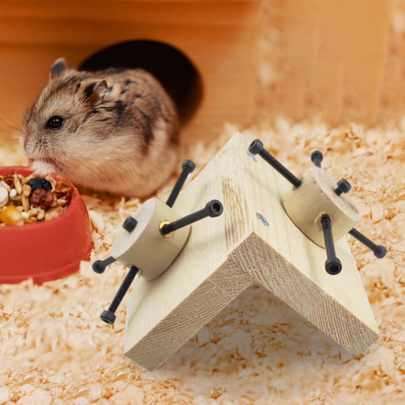 Hamster Wooden Foraging Toy, Exercise Wheel Toy, Mental Toy for Rats, Bunny, Small Pet, Chinchilla, Dwarf Hamster