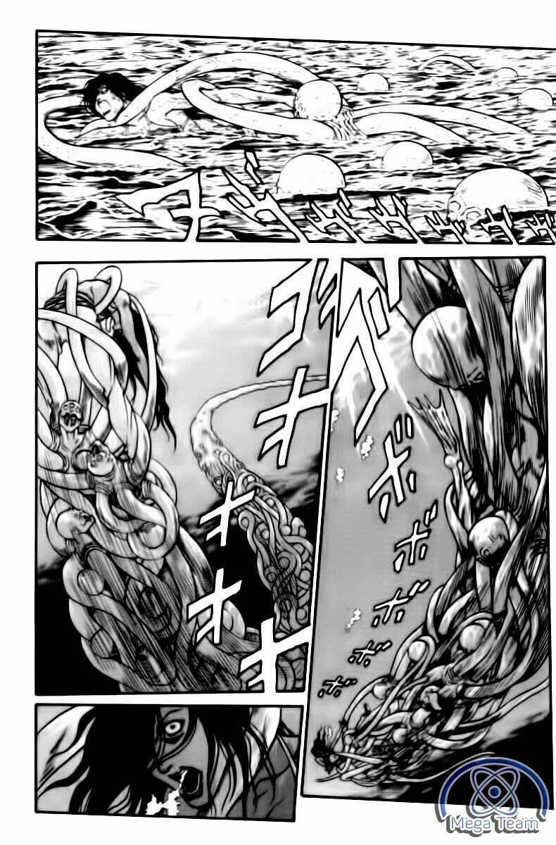 vua trên biển chapter 148 13