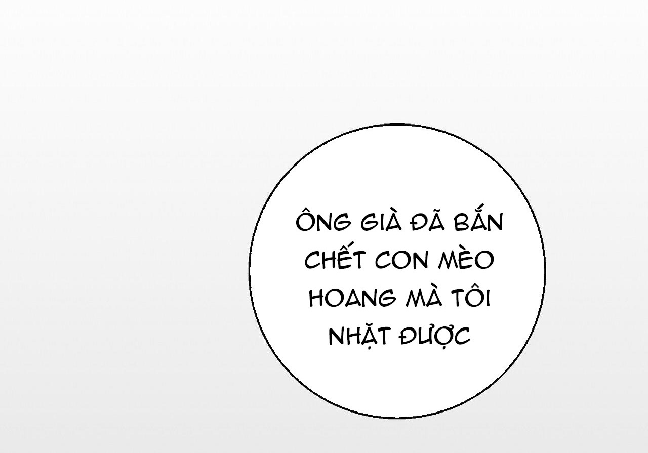 Hối Lộ Ngọt Ngào chapter 25 - Trang 31