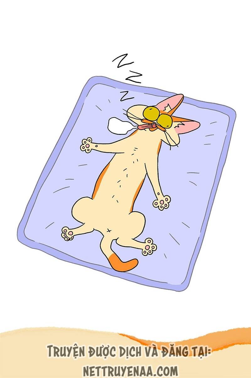 a mãn và mạch trà chapter 17 7