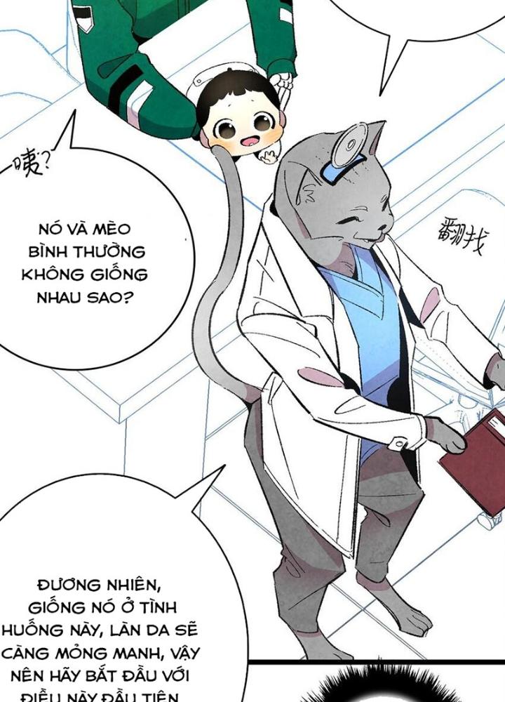 skeleton làm bố chapter 6 22
