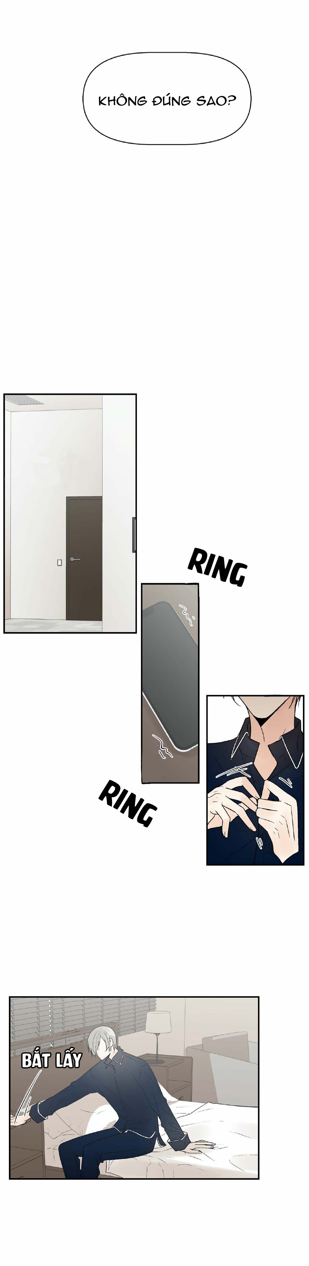 trú ẩn - haven chapter 9 22