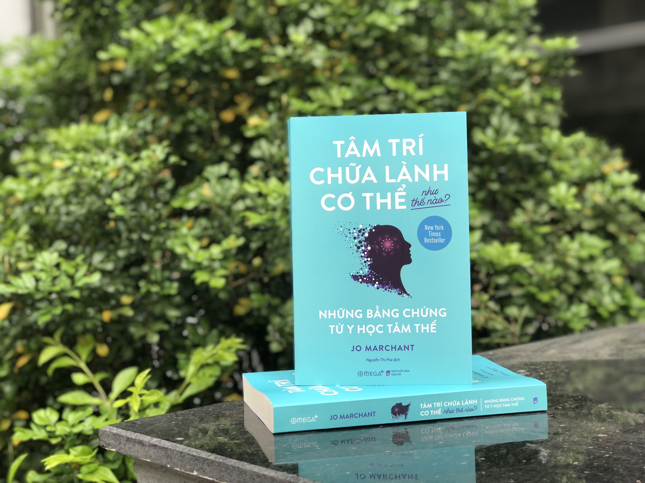 Tâm Trí Chữa Lành Cơ Thể Như Thế Nào? - Những Bằng Chứng Từ Y Học Tâm Thể
