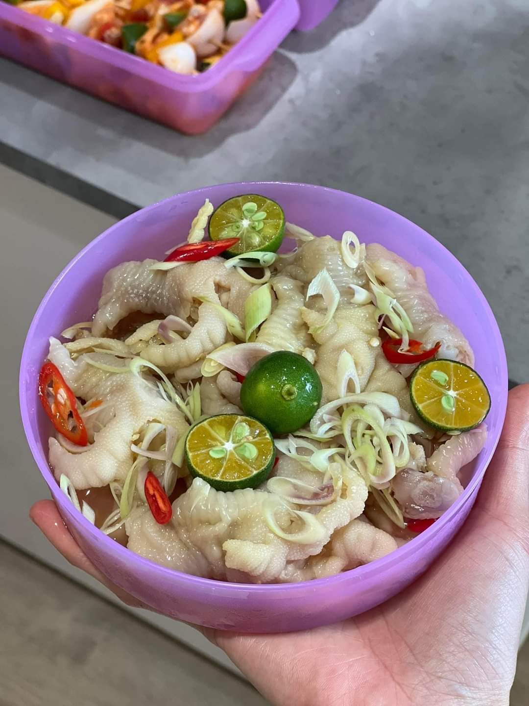 Bộ hộp trữ mát Freshia Collection Purple  5 hộp - Tupperware chính hãng