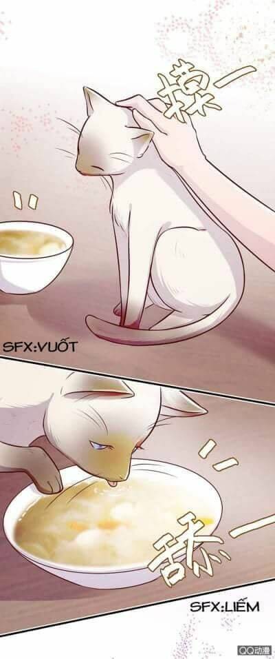 lãnh tình boss xin buông tay em chapter 7 18