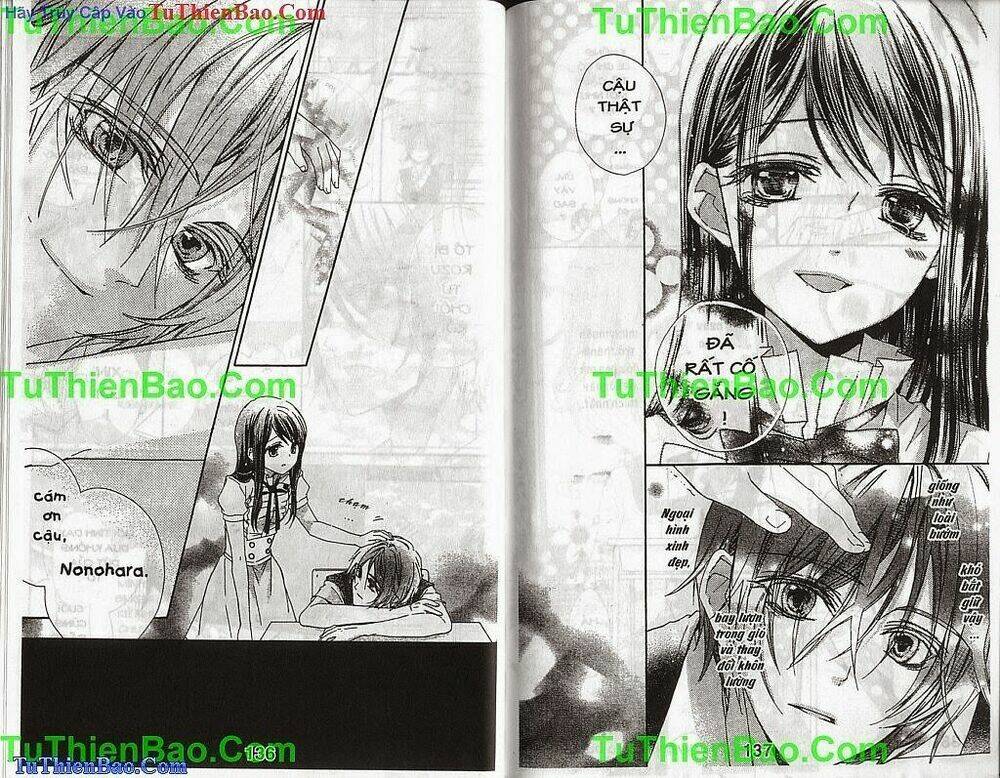 tường vi thơ mộng chapter 3 69