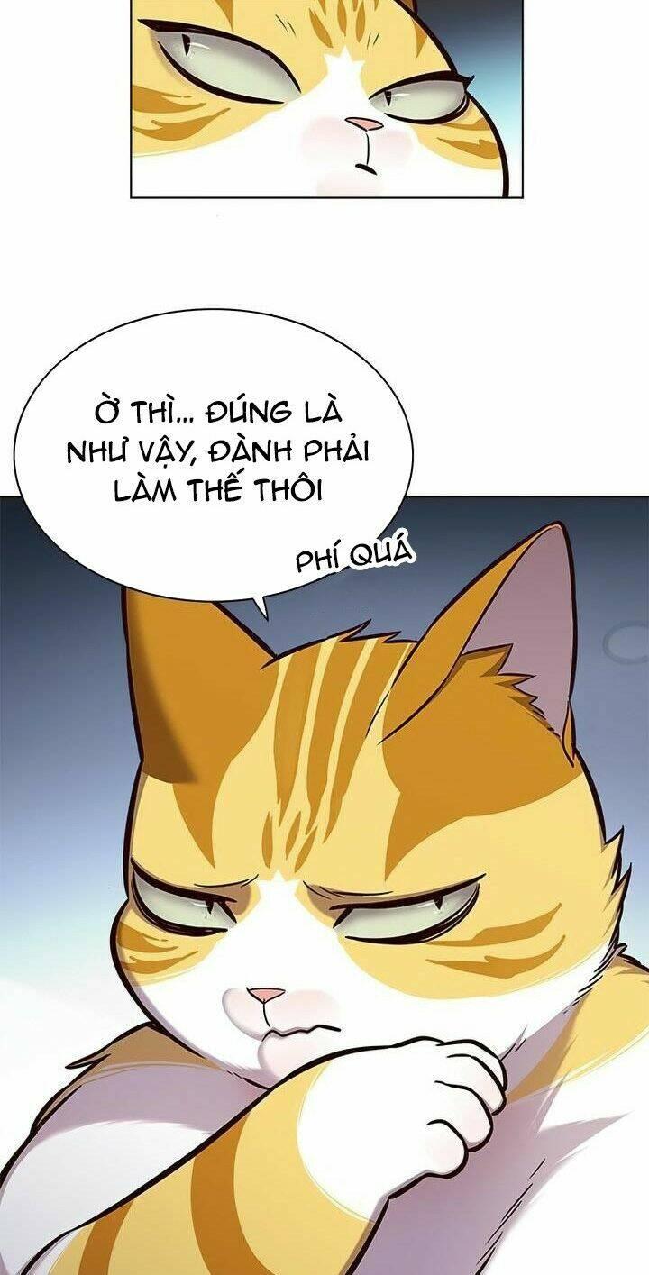 biến thân thành mèo chapter 165 81