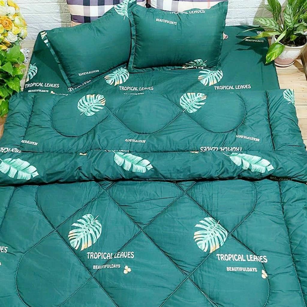 Bộ Chăn Ga Gối Cottong Poly PLX16 thoáng mát
