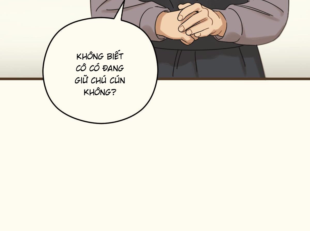 tương phùng chapter 37 147