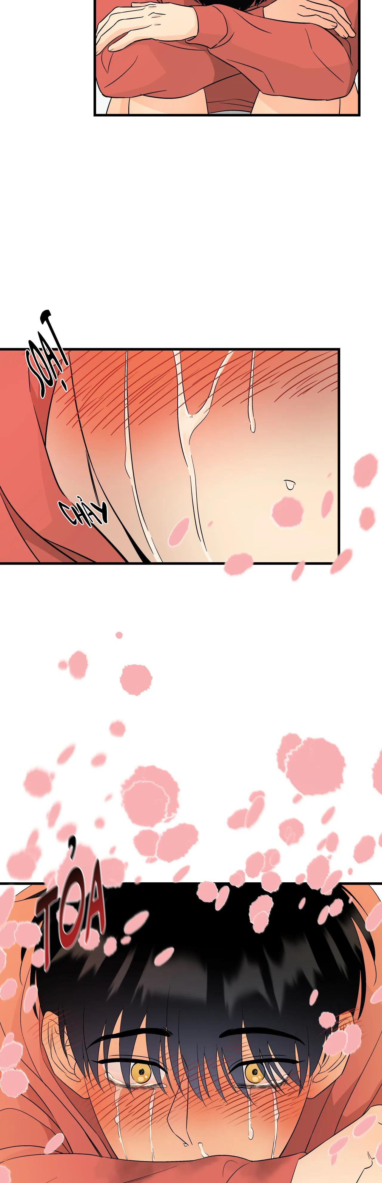 tình yêu cổ tích chapter 4 16