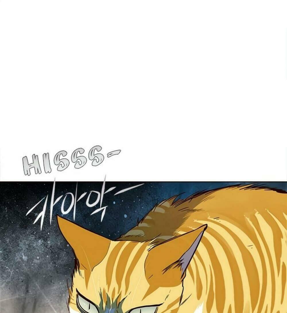 biến thân thành mèo chapter 19 93