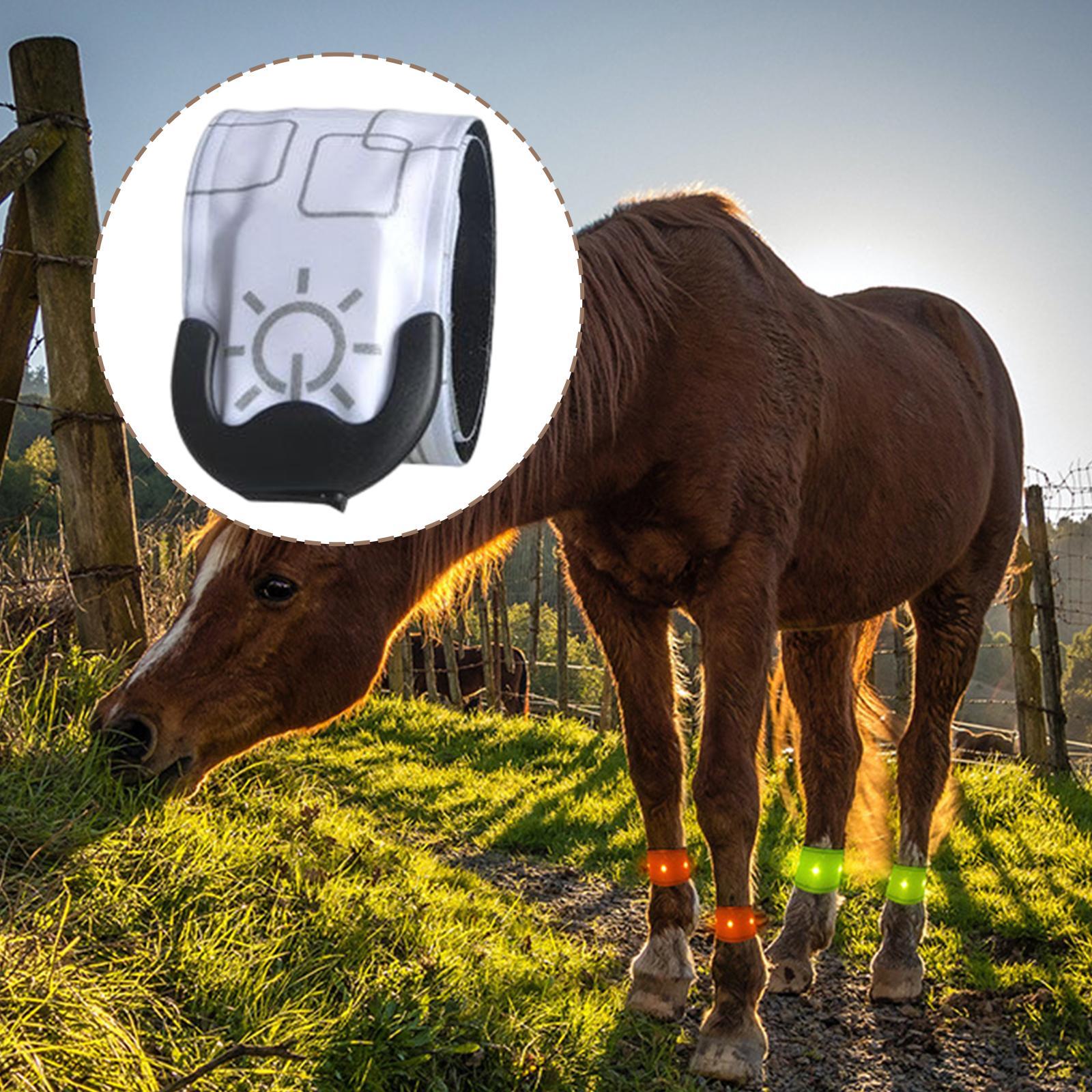 LED Horse Ankle Strap Leg Protection Belt for Running Outdoor Horse Riding