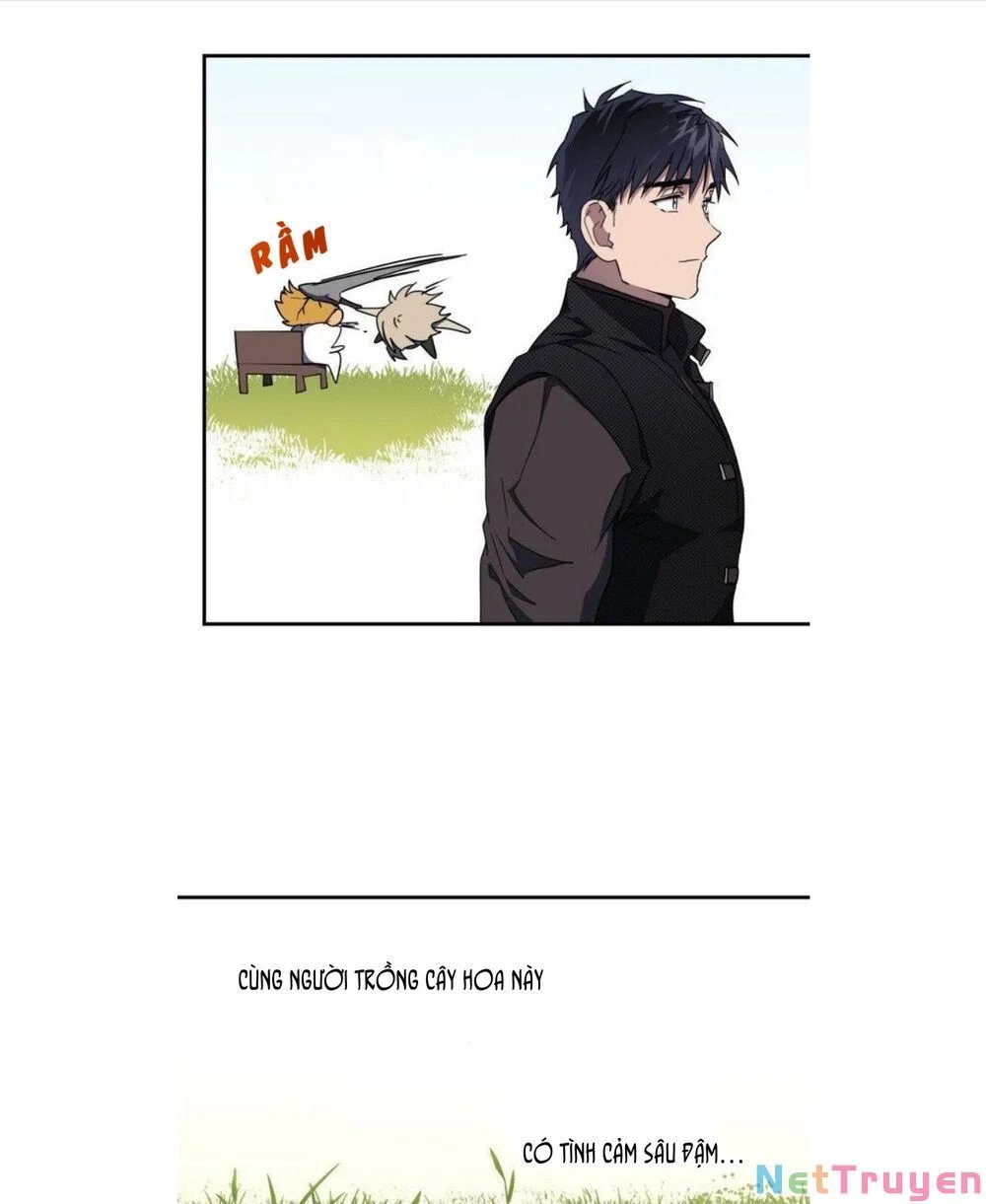 bị che khuất bởi ánh hoàng hôn chapter 39 23