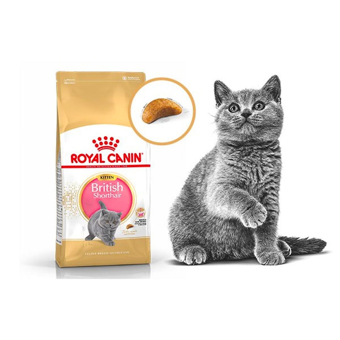 Thức Ăn Hạt Dành Cho Mèo Anh Lông Ngắn Từ 2-12 Tháng Tuổi Royal Canin British Shorthair Kitten