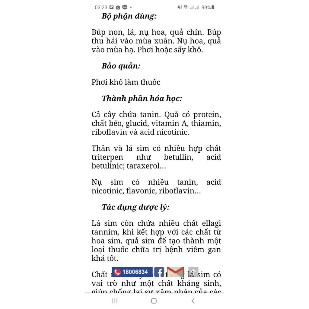 Sim ăn quả cây nhỡ