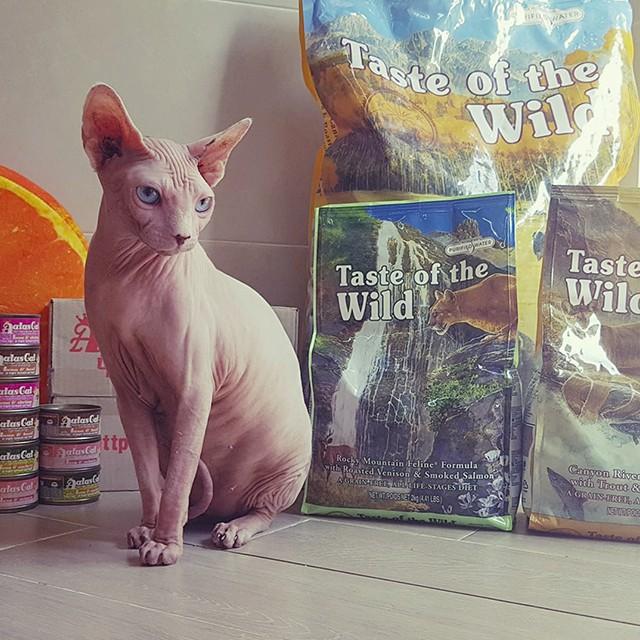 Thức Ăn Cho Mèo Không Lông, Taste Of The Wild Bao 2kg - Thức Ăn Cho Mèo Vị Cá Hồi, Rau Củ Quả, Trái Cây