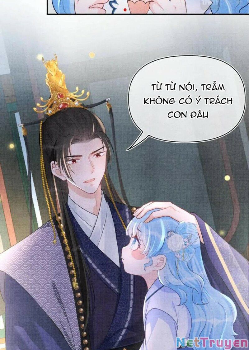 nhóc con người cá 3 tuổi rồi chapter 193 7