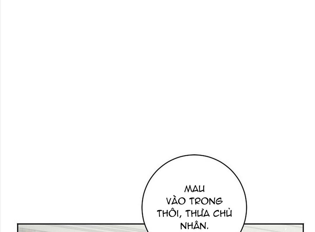 chinh phục quý ngài ma cà rồng chapter 13 122