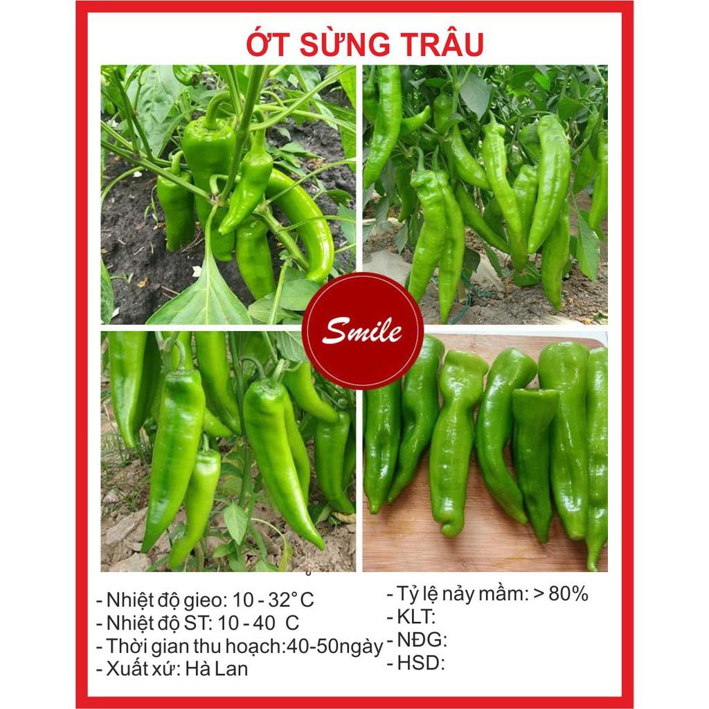 Hạt giống Ớt Sừng Trâu - 50 Hạt