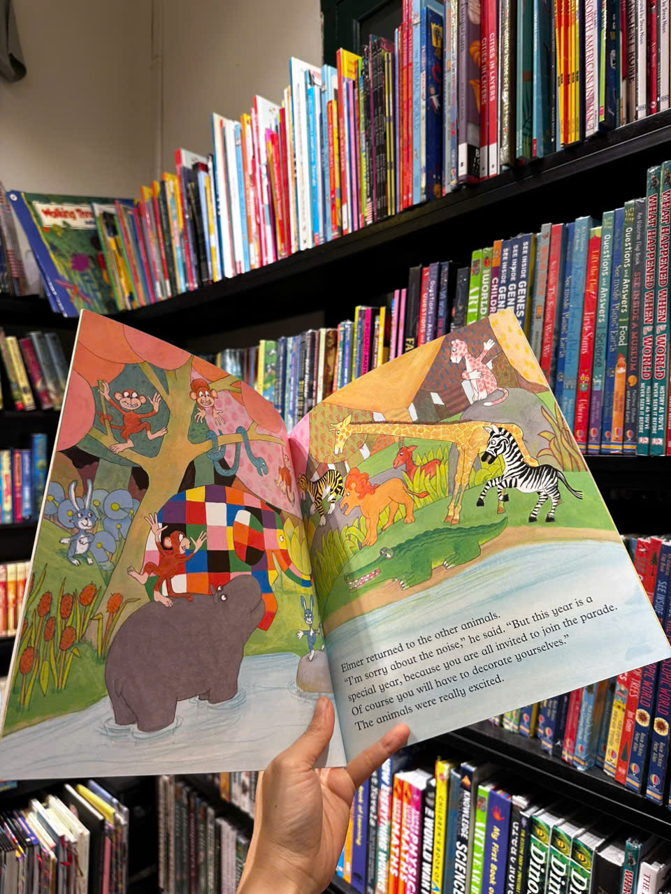 Sách - Elmer's Special Day by David McKee - Sách ngoại văn, sách thiếu nhi tiếng Anh, bìa mềm, nhập khẩu UK