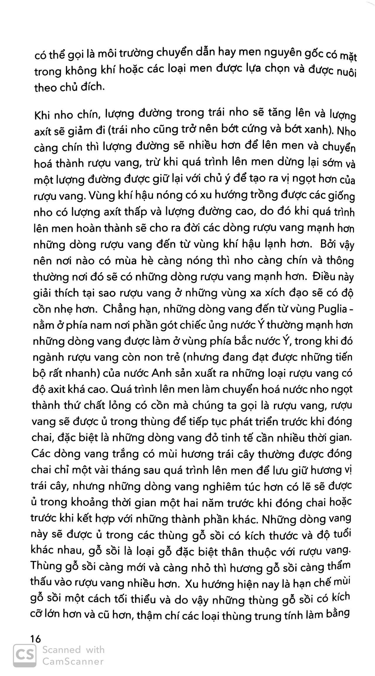 Trở Thành Chuyên Gia Rượu Vang Trong 24h