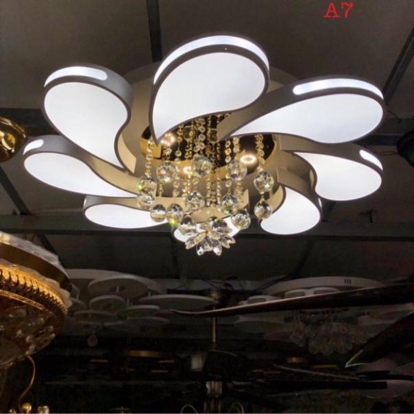 Đèn trần led hoa DT HQ