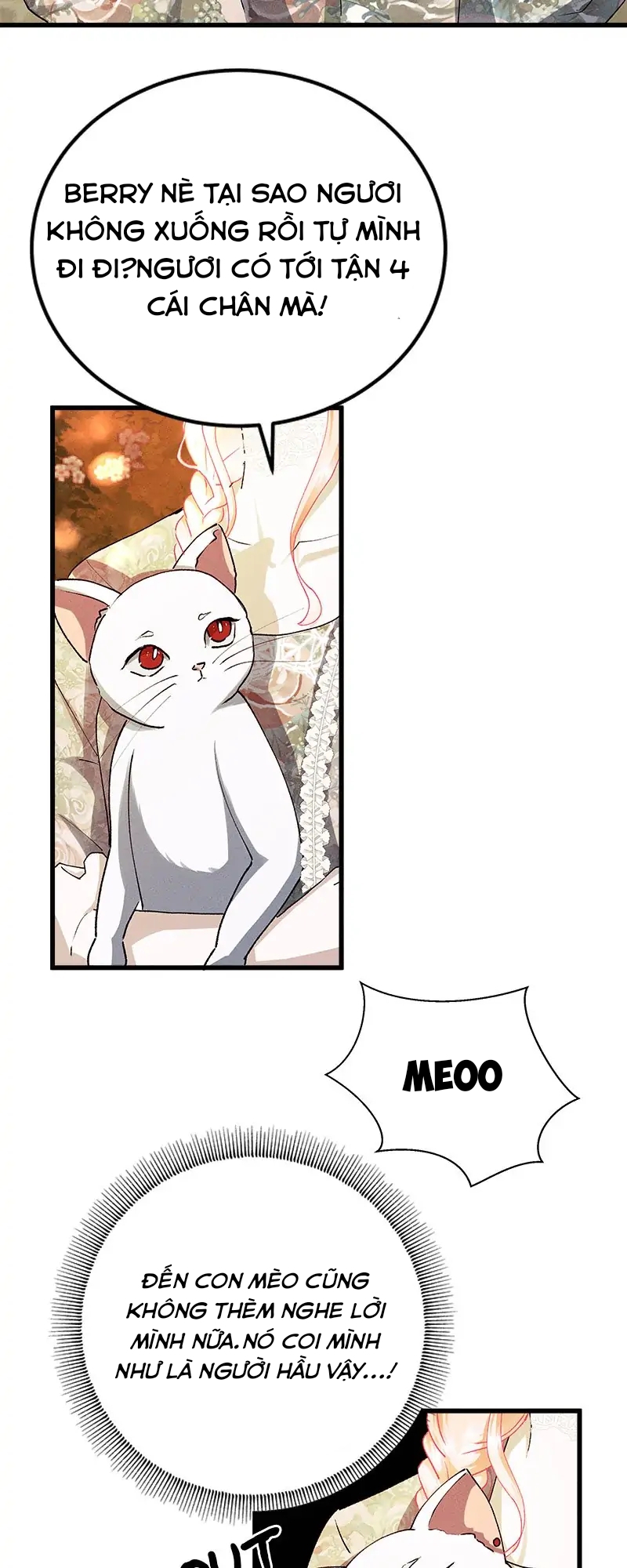 tôi muốn hủy cuộc hôn ước này chapter 31 5