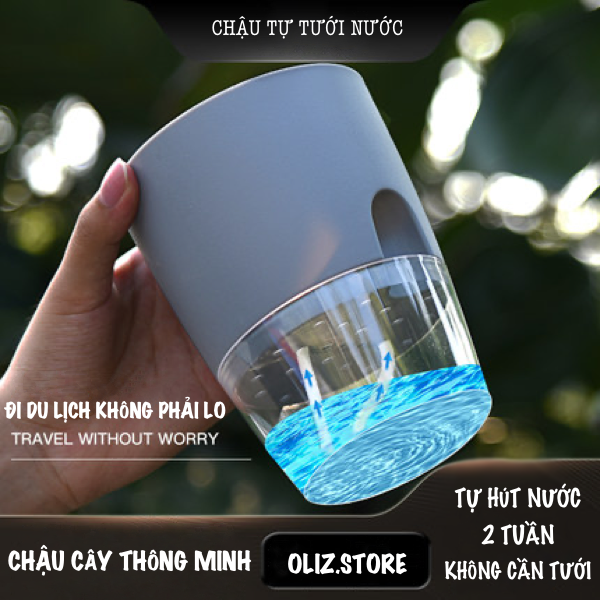 Chậu trồng cây thông minh A7. Có chức năng tự tưới nước cho cây