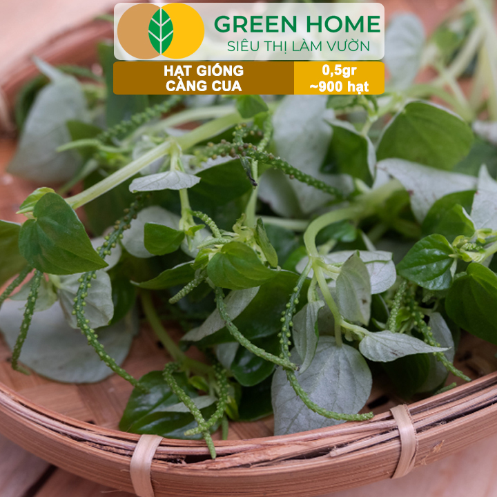 Hạt Giống Rau Càng Cua GreenHome, Gói 0,5gr~900 hạt, Dễ Chăm Sóc,Trồng Quanh Năm,Thu Hoạch Nhanh R27