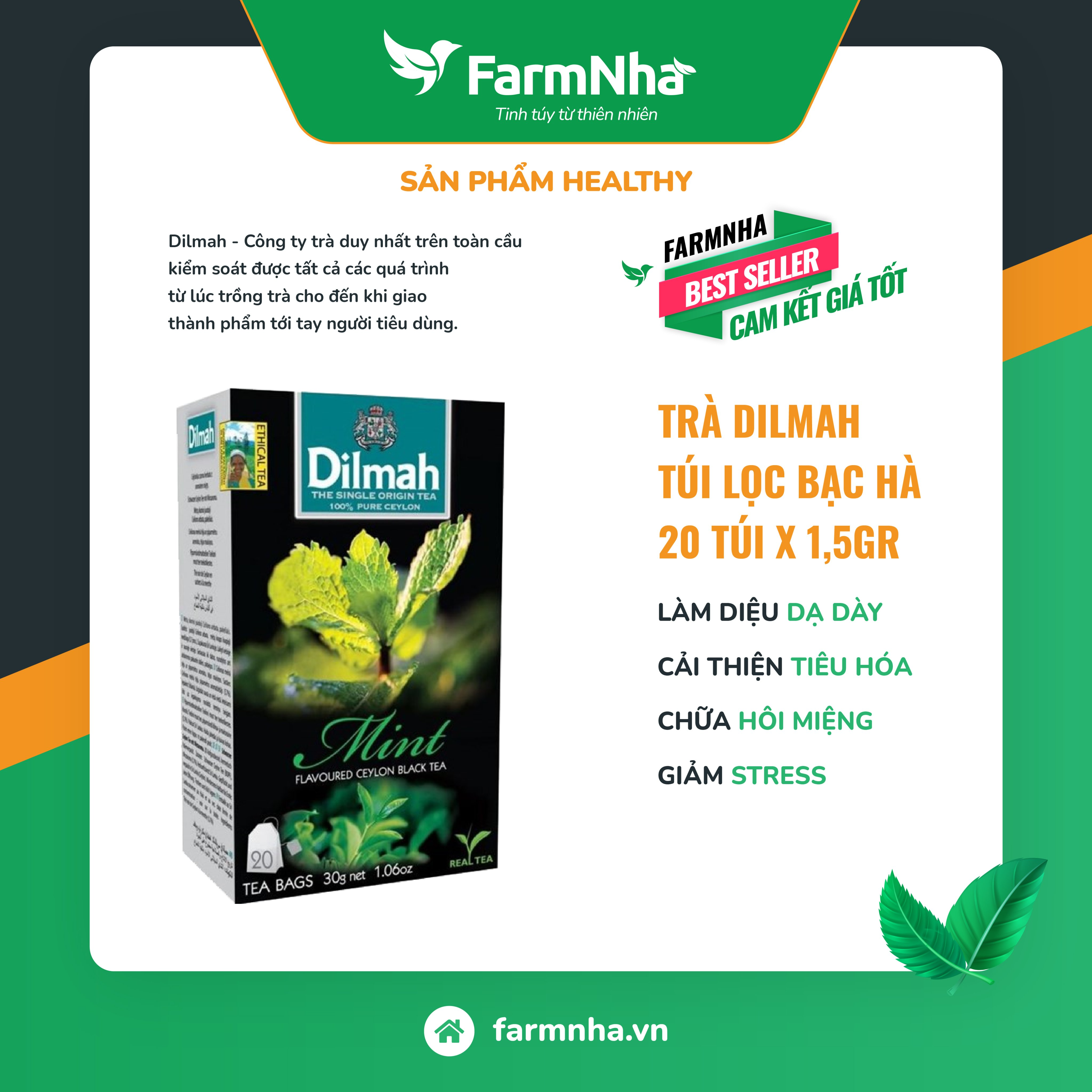 Trà Dilmah Mint (Trà Bạc Hà) túi lọc 30g 20 túi x 1.5g - Tinh hoa trà Sri Lanka