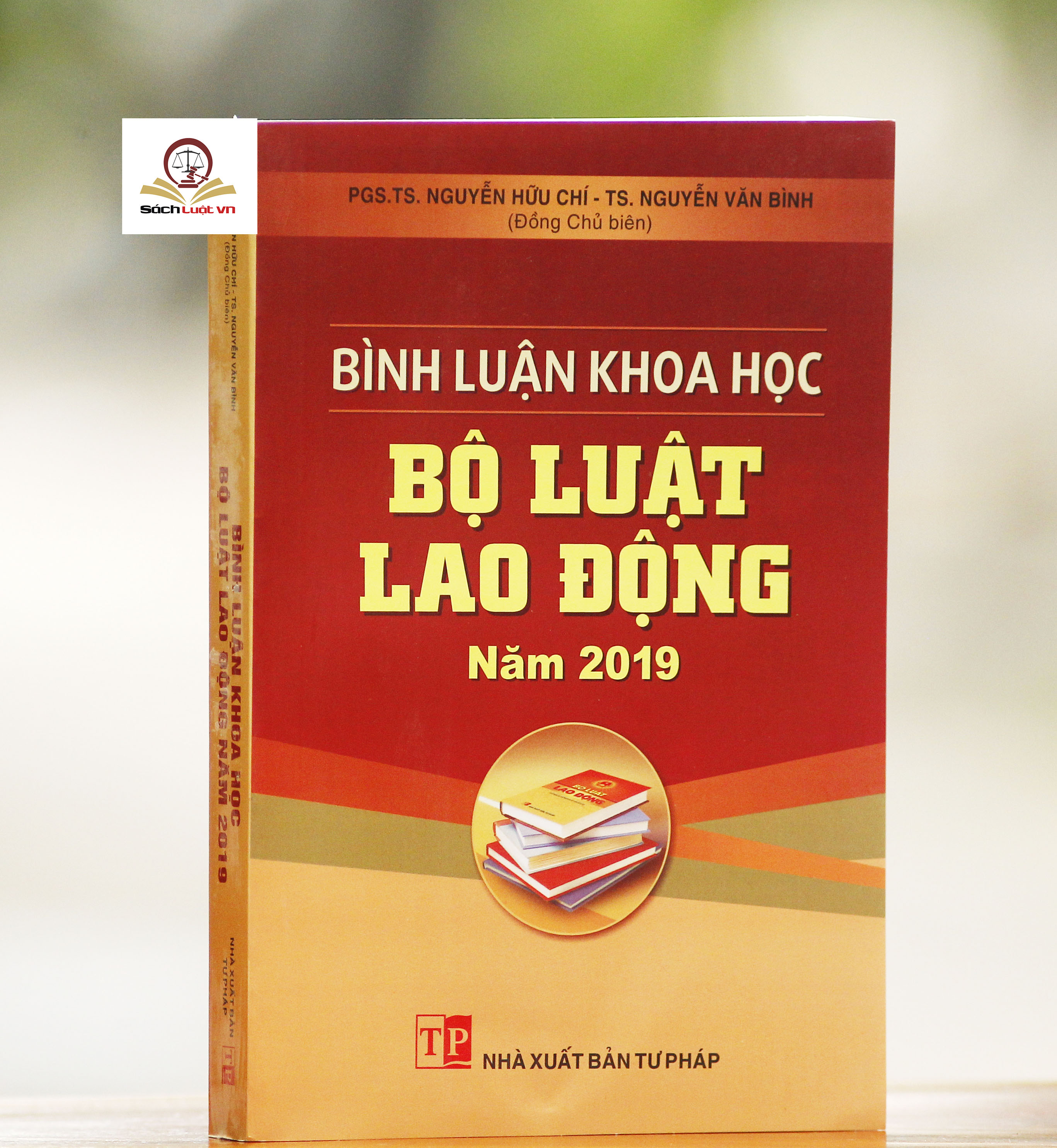 Bình luận khoa học Bộ luật lao động 2019