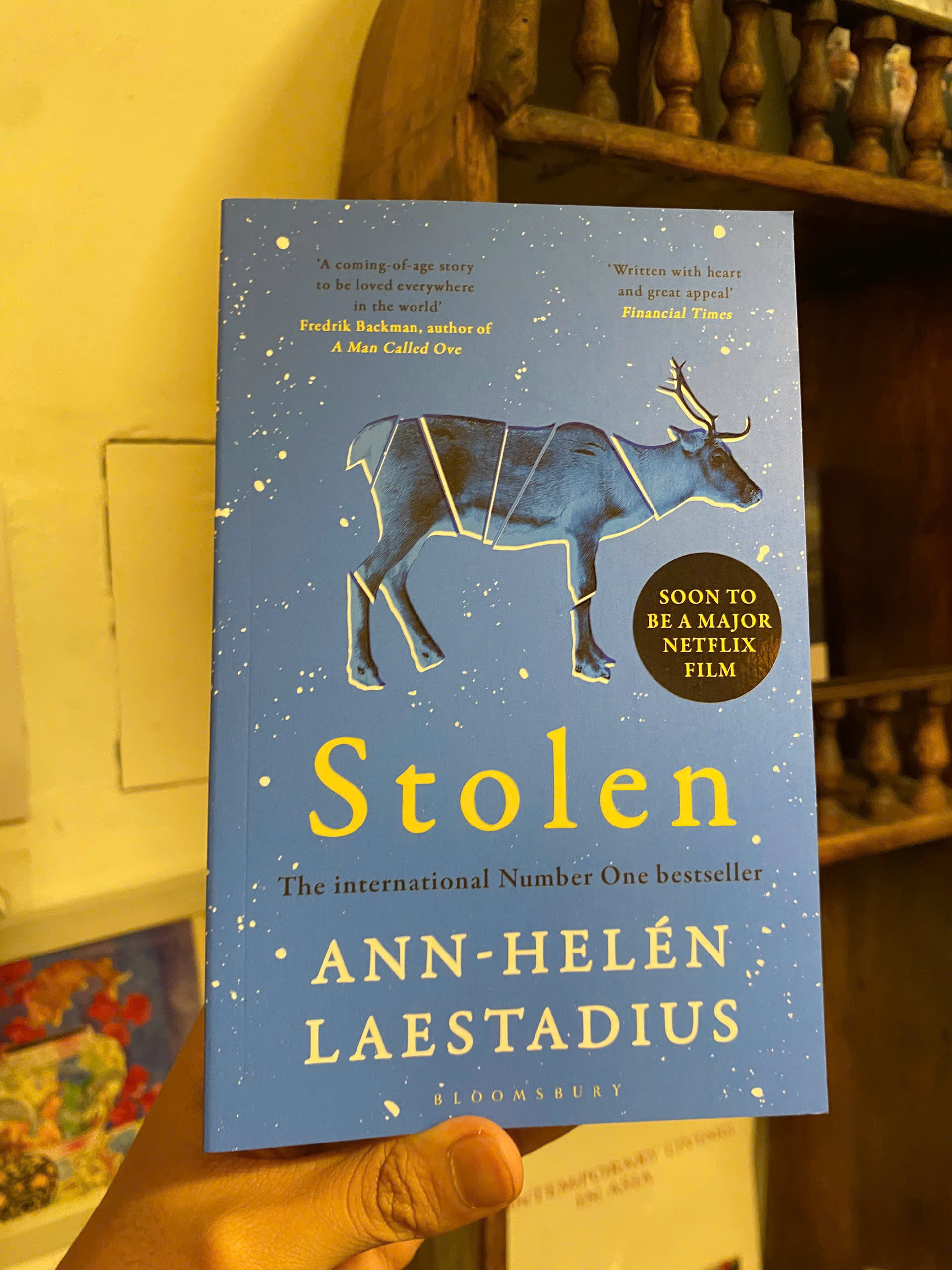Sách - Stolen (International Number One Bestseller - A Netflix Adaptation) by Ann-Helén Laestadius