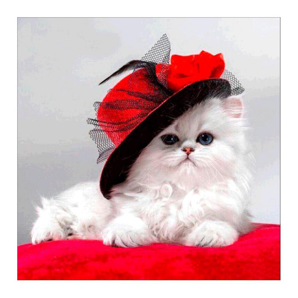 DIY 5D Diamond Painting Kit Animal Diamond Rhinestone Embroidery Cross Stitch Ornaments for Home Wall Decoration