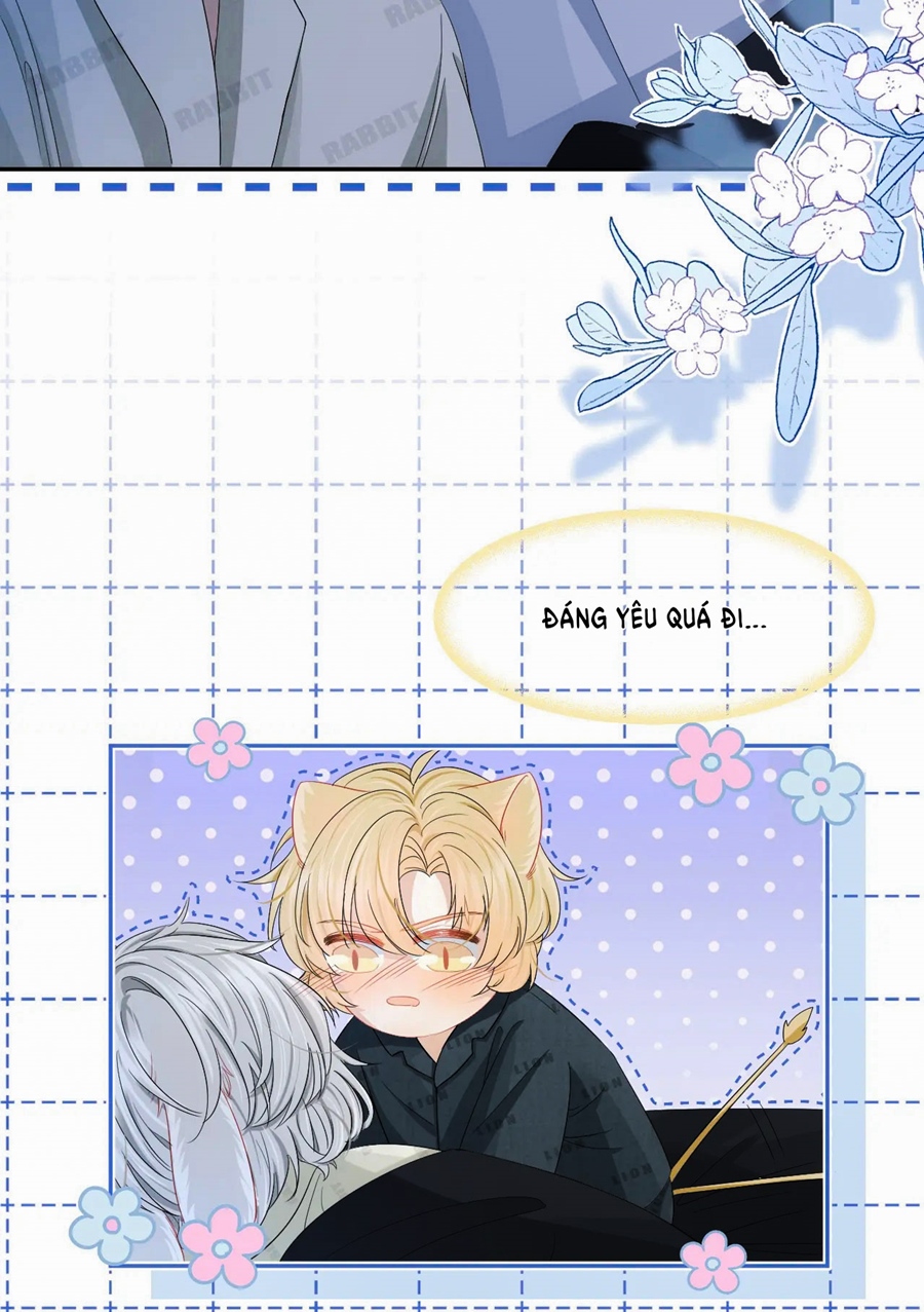 ăn một bé thỏ chapter 76 22