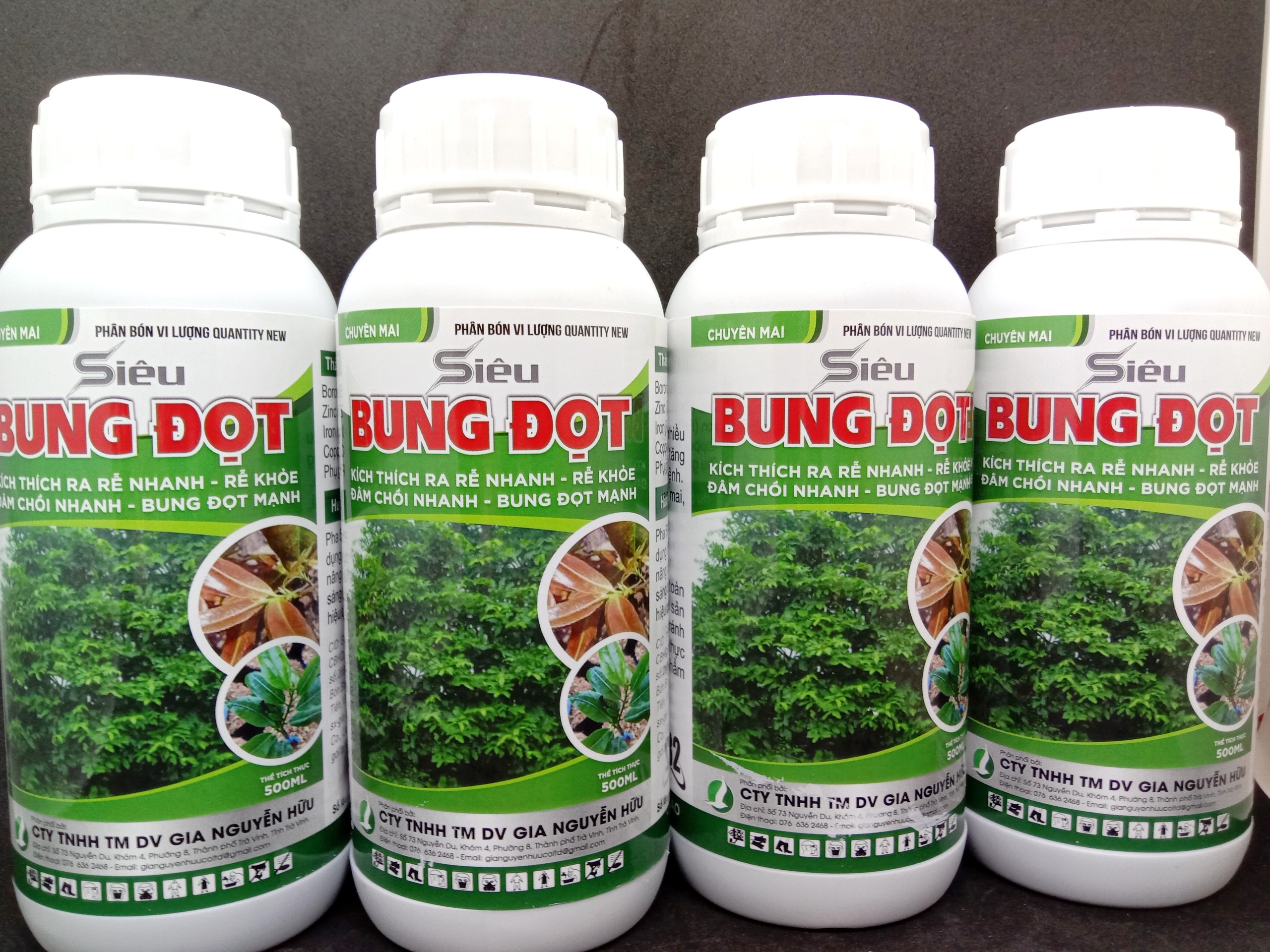 PHÂN BÓN DÀNH CHO MAI, CÂY KIỂNG CHAI 500ML - BUNG ĐỌT, BẬT CHỒI, RA RỄ