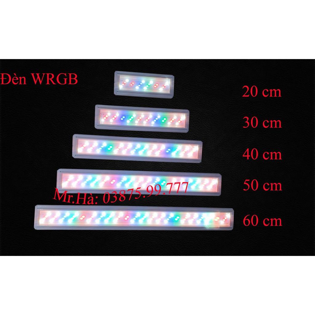Đèn bể cá ️️ Đèn led máng dành cho bể thủy sinh 20cm, 30cm, 40cm, 50cm, 60cm