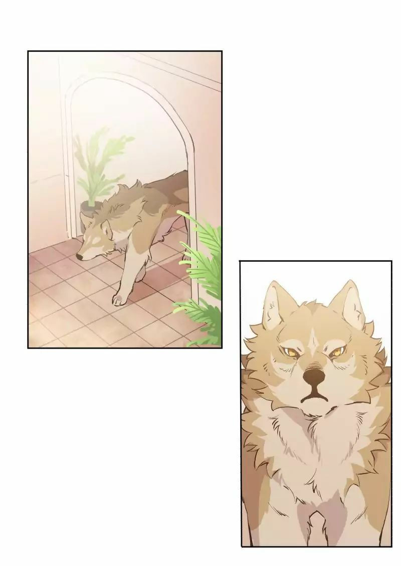 lumine - cội nguồn ánh sáng chapter 41 29