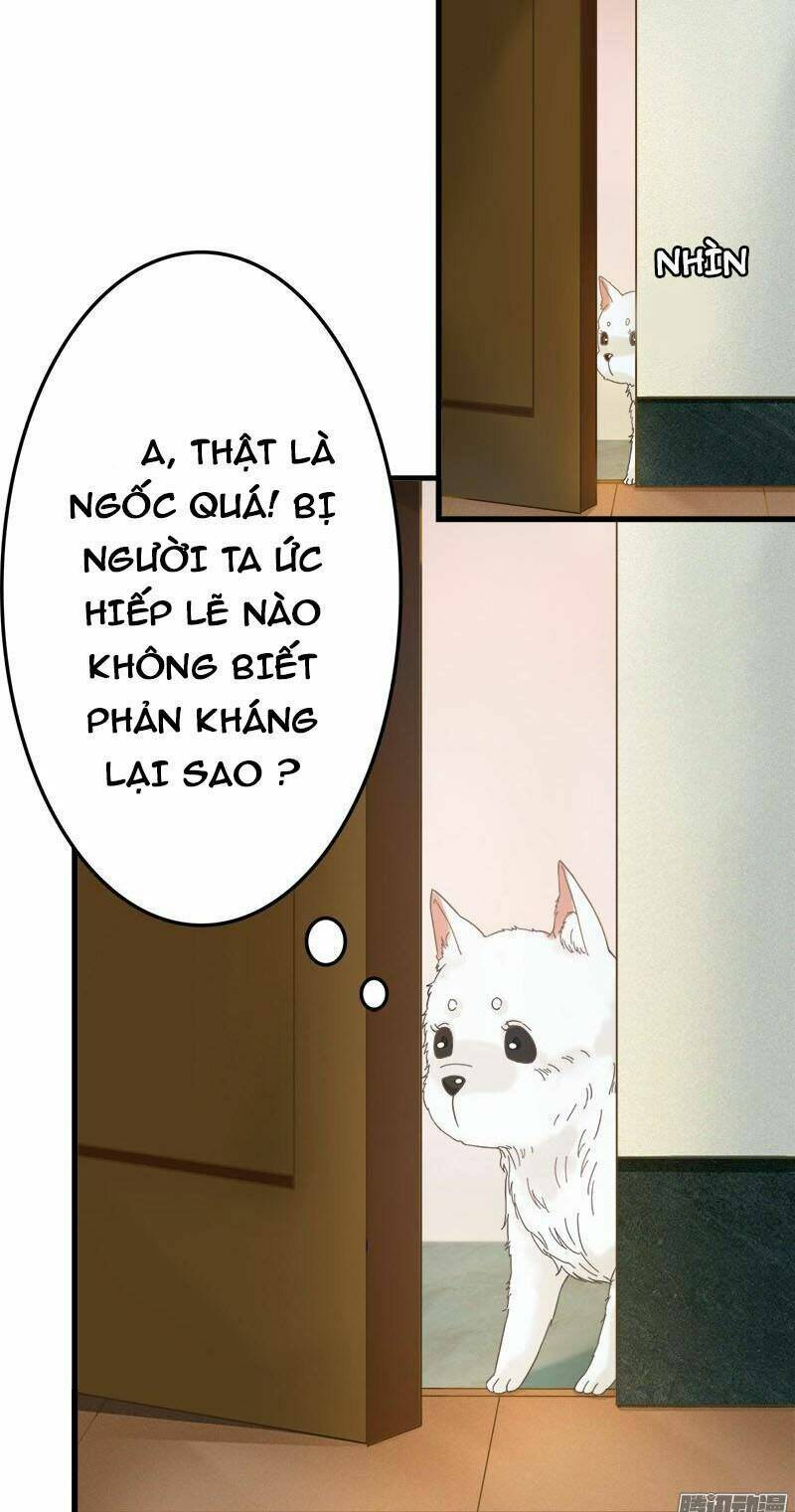 tình nhân kiếp trước là vĩ hồ chapter 3 20