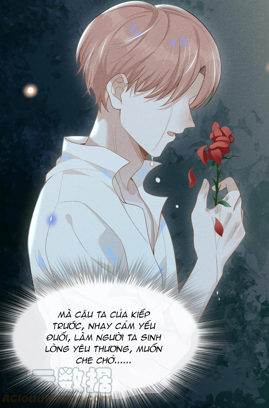 kiếp sau không gặp chapter 48 22