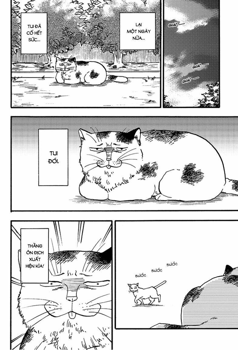 tui là busamen! chapter 1 18