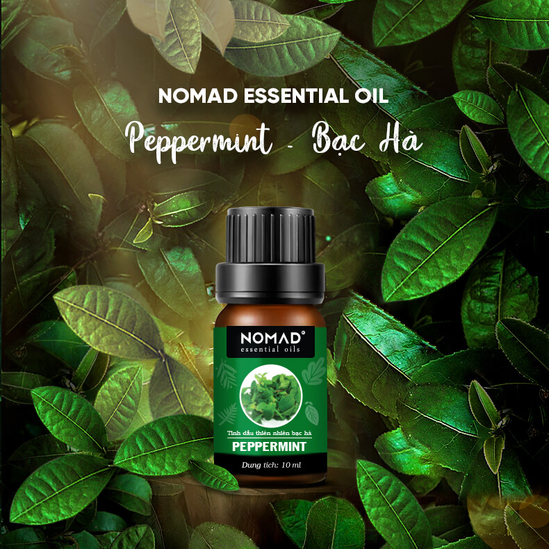 Combo 3 Tinh Dầu Nguyên Chất Nomad: Tinh Dầu Bạc Hà + Tinh Dầu Chanh + Tinh Dầu Sả Tươi