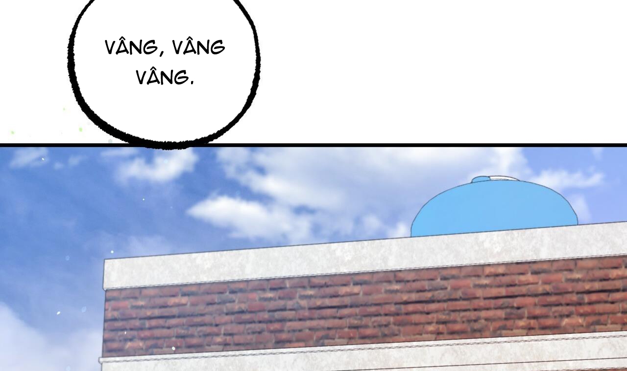 đàn thỏ của habibi chapter 44 213